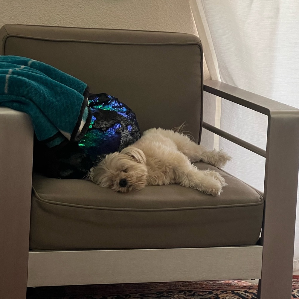 Meet your Posher, Zohra